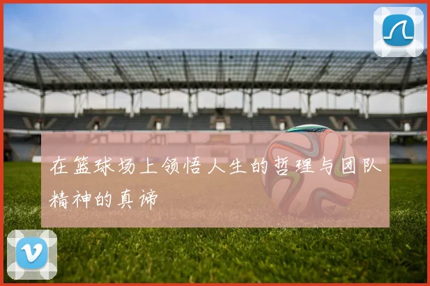 在篮球场上领悟人生的哲理与团队精神的真谛