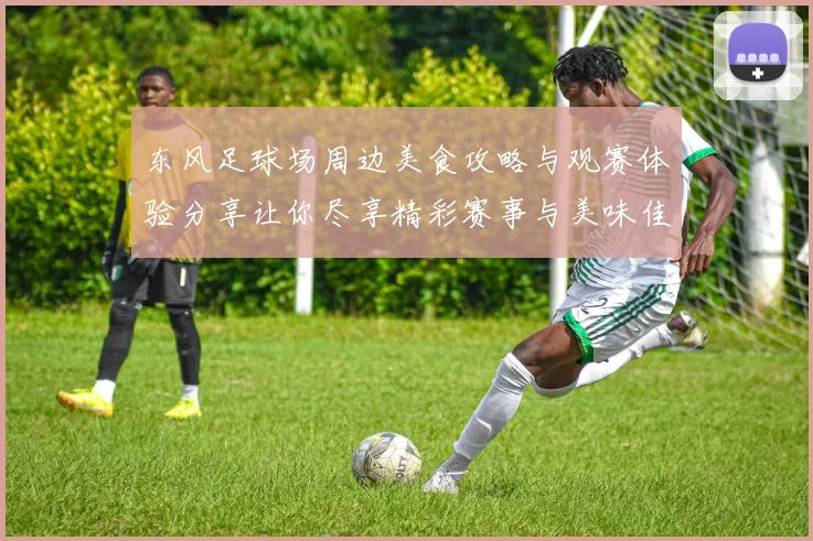 东风足球场周边美食攻略与观赛体验分享让你尽享精彩赛事与美味佳肴